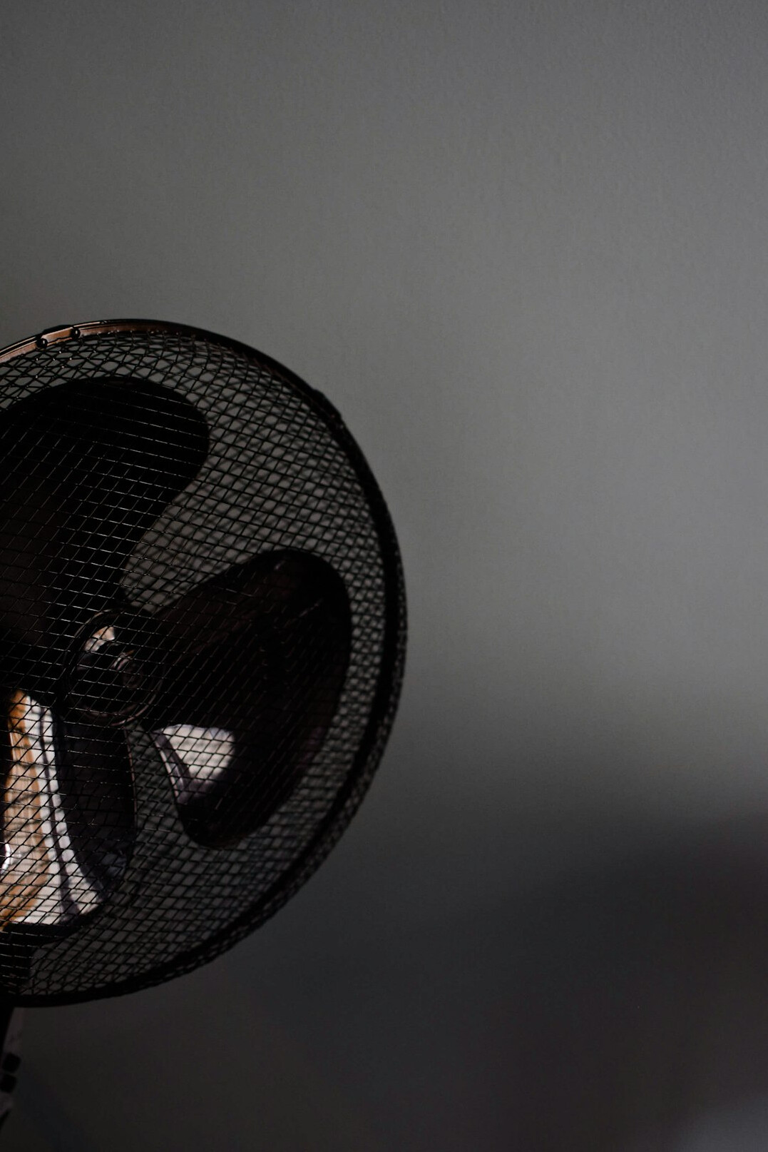 Professional condenser microphone on a stand in soft studio light